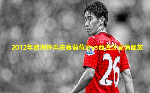 2012年欧洲杯半决赛葡萄牙vs西班牙高清回放