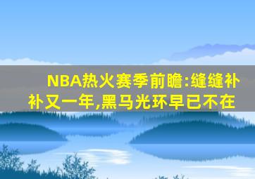 NBA热火赛季前瞻:缝缝补补又一年,黑马光环早已不在