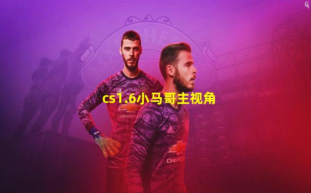 cs1.6小马哥主视角