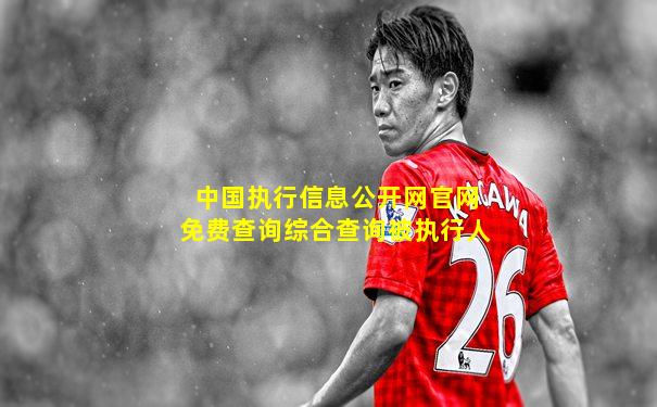中国执行信息公开网官网免费查询综合查询被执行人