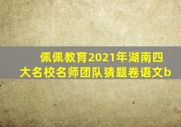 佩佩教育2021年湖南四大名校名师团队猜题卷语文b