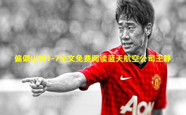 偏僻山村1-7全文免费阅读蓝天航空公司王静