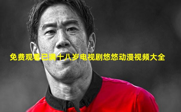 免费观看已满十八岁电视剧悠悠动漫视频大全