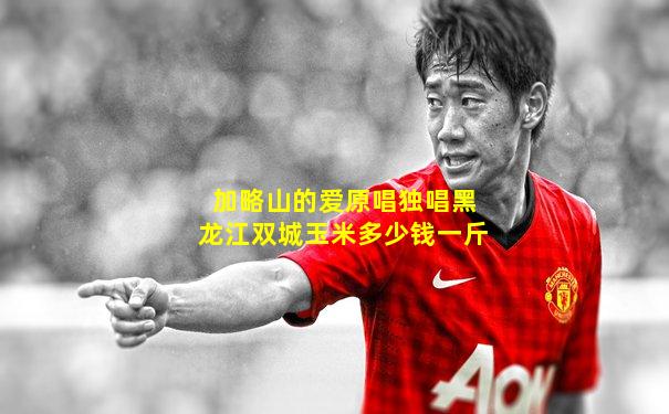 加略山的爱原唱独唱黑龙江双城玉米多少钱一斤