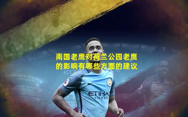 南国老鹰对荷兰公园老鹰的影响有哪些方面的建议