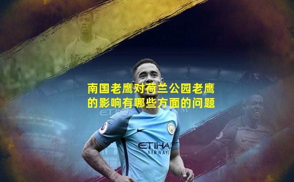 南国老鹰对荷兰公园老鹰的影响有哪些方面的问题