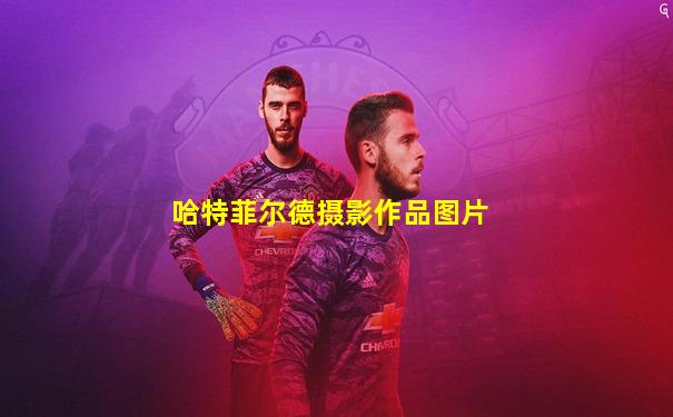 哈特菲尔德摄影作品图片