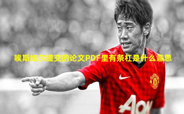 唉斯维尔提交的论文PDF里有条杠是什么意思