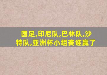 国足,印尼队,巴林队,沙特队,亚洲杯小组赛谁赢了