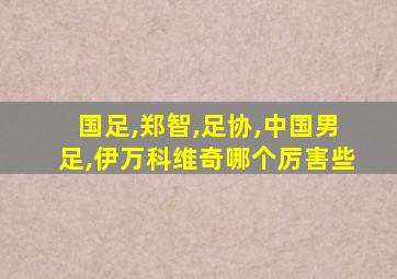 国足,郑智,足协,中国男足,伊万科维奇哪个厉害些