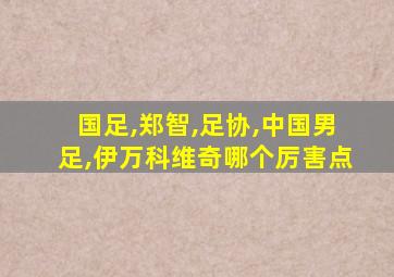 国足,郑智,足协,中国男足,伊万科维奇哪个厉害点