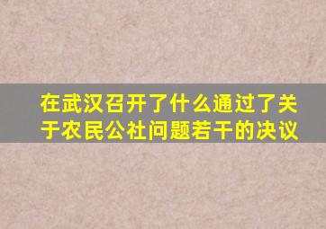 在武汉召开了什么通过了关于农民公社问题若干的决议