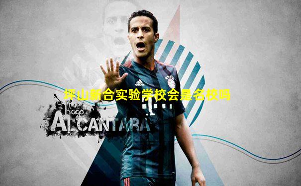 坪山新合实验学校会是名校吗