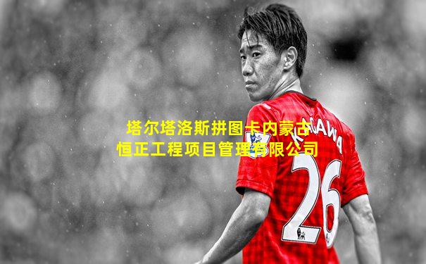 塔尔塔洛斯拼图卡内蒙古恒正工程项目管理有限公司
