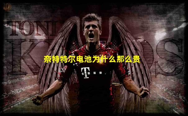 奈特特尔电池为什么那么贵