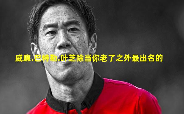 威廉.巴特勒.叶芝除当你老了之外最出名的