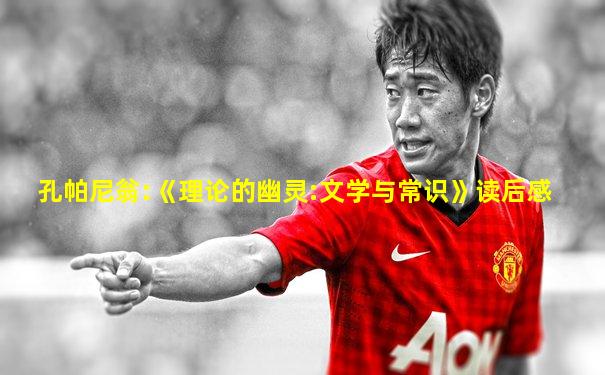 孔帕尼翁:《理论的幽灵:文学与常识》读后感