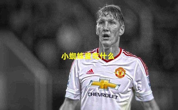 小蜘蛛爱吃什么