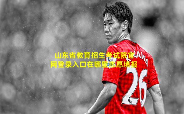 山东省教育招生考试院官网登录入口在哪里志愿填报