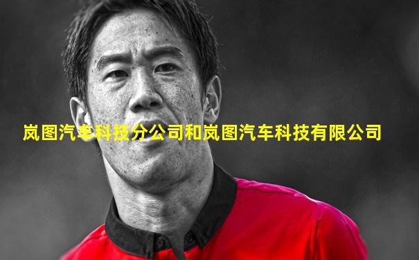 岚图汽车科技分公司和岚图汽车科技有限公司