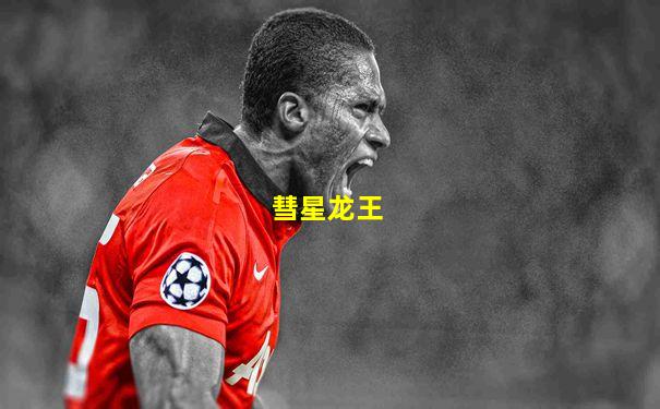 彗星龙王