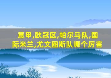 意甲,欧冠区,帕尔马队,国际米兰,尤文图斯队哪个厉害