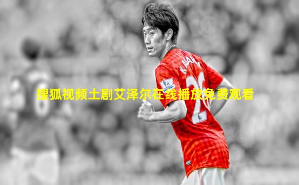 搜狐视频土剧艾泽尔在线播放免费观看