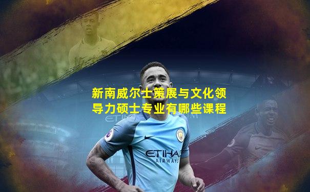 新南威尔士策展与文化领导力硕士专业有哪些课程