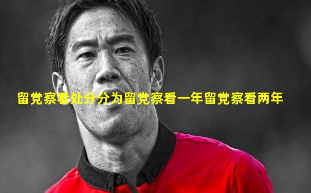 留党察看处分分为留党察看一年留党察看两年