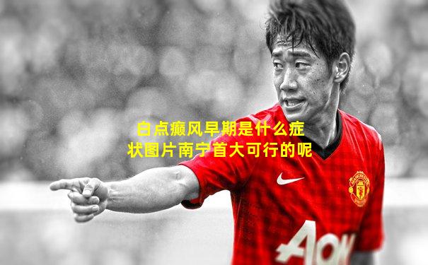 白点癫风早期是什么症状图片南宁首大可行的呢