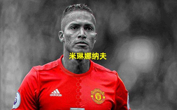 米琳娜纳夫