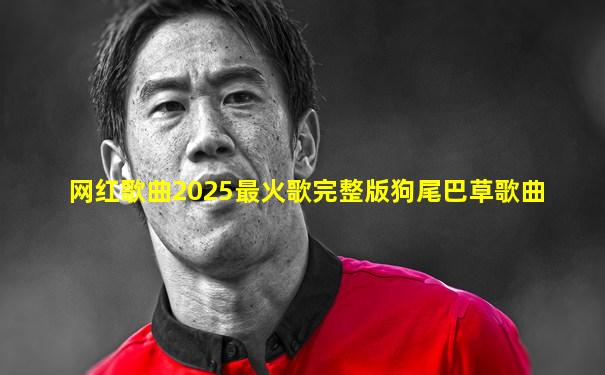 网红歌曲2025最火歌完整版狗尾巴草歌曲