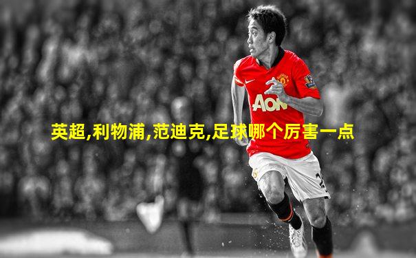 英超,利物浦,范迪克,足球哪个厉害一点