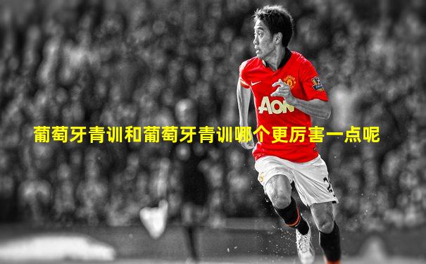 葡萄牙青训和葡萄牙青训哪个更厉害一点呢