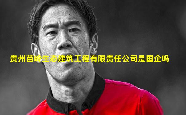 贵州苗岭生态建筑工程有限责任公司是国企吗