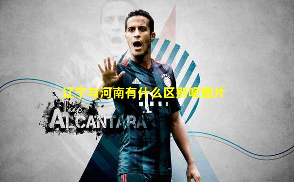 辽宁与河南有什么区别呢图片